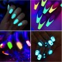 Набор люминесцентных светящихся пигментов для дизайна ногтей 12 цв