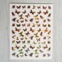 Наклейки на ногти  JN Бабочки голографические  лист 7,5 x 10 см
