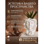 Кашпо декоративное Богиня «Лицо девушки» для сухоцветов и кистей